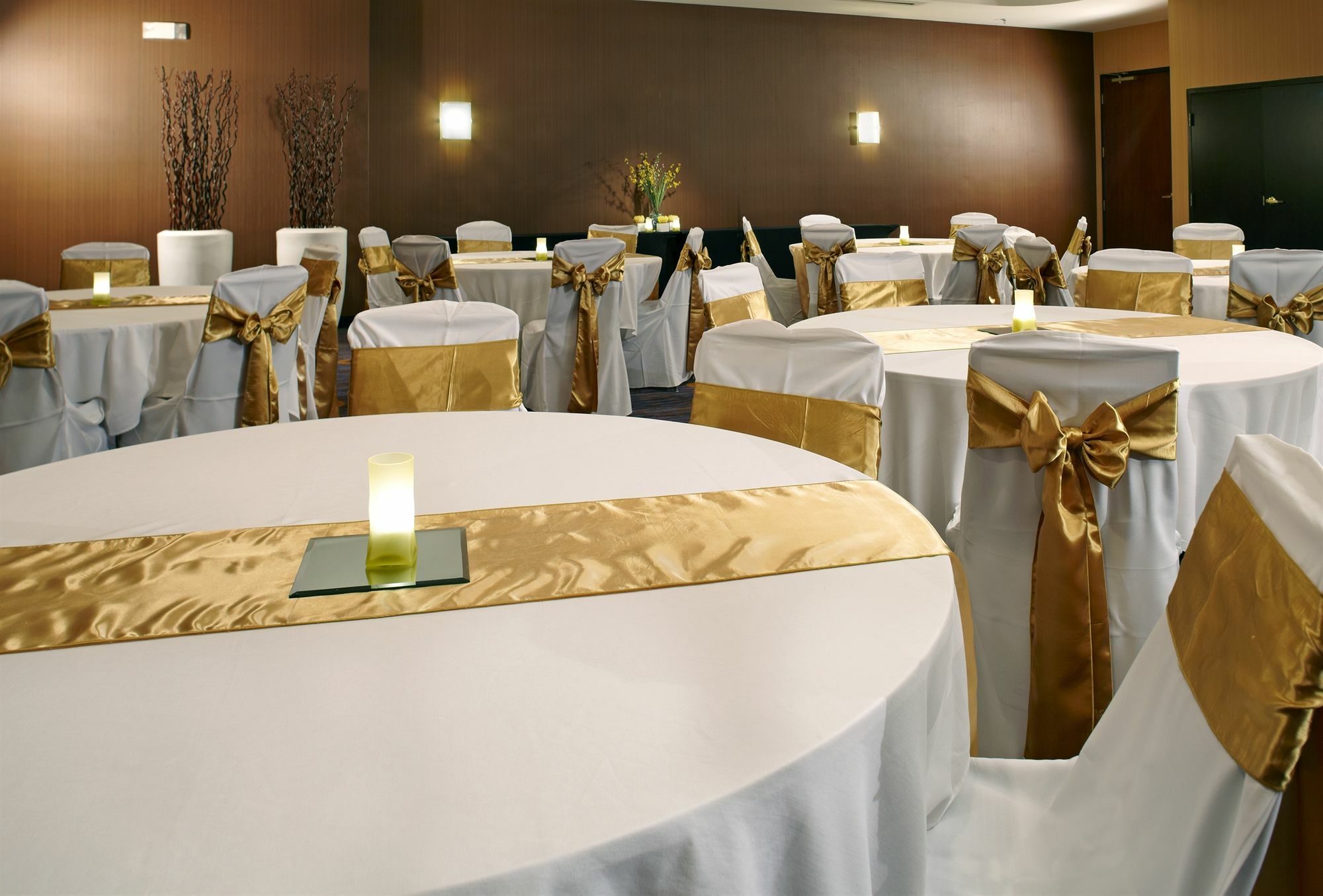 Hotel Courtyard Tampa Oldsmar Esterno foto